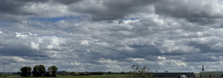 Knoblauchsland bei Poppenreuth